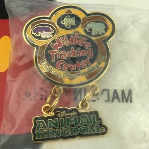 Rare Disney Pin